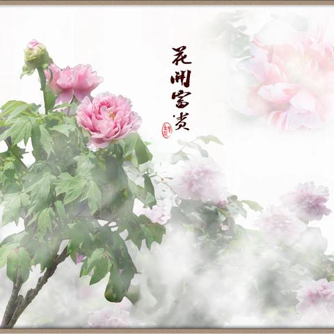 海安苏中植物园看牡丹