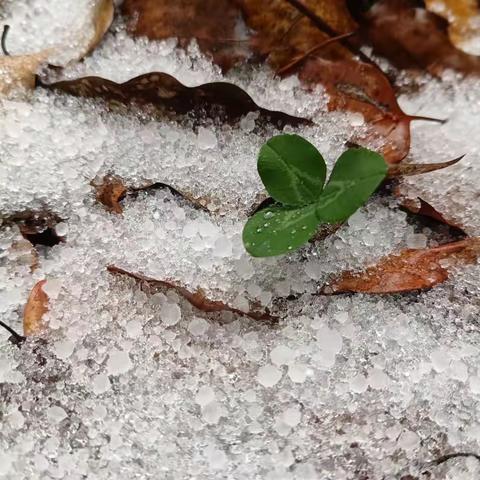 冬日伴初雪，快乐翻多倍