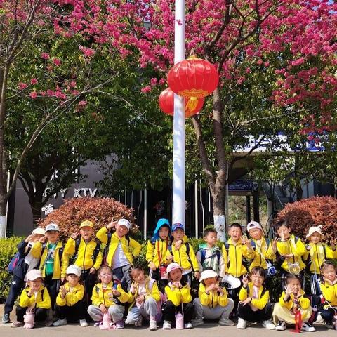 “阳春三月，幼见美好”🌸✨——金博士幼儿园大大班三月月报