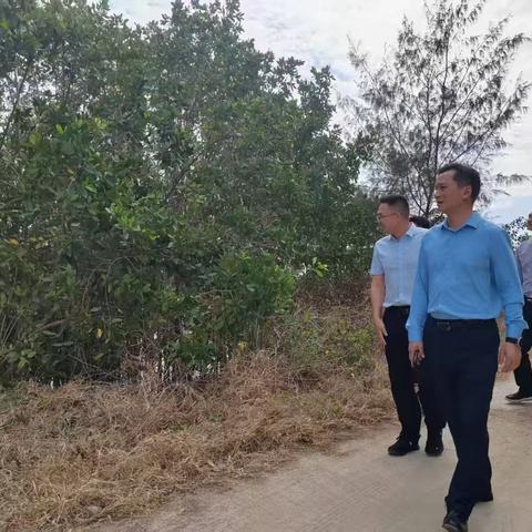 县委常委、组织部长周刚到新村镇开展巡林工作
