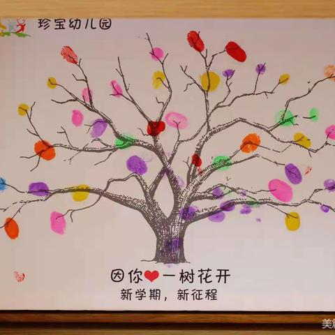 我自理、我自立——🍎珍宝幼儿园自理能力大赛