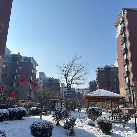 清理积雪，守护温暖 | 爱心❤️物业金茂.汇金湾小区全力以赴做好雪天服务工作