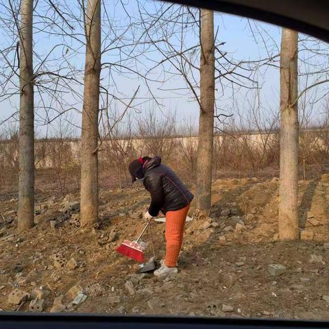 塔北社区的简篇