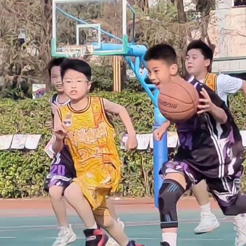 青春最好的文案:阳光、操场、少年——凤岗镇实验小学班际篮球赛（四年级篇）