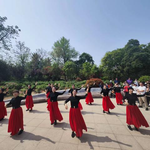 舞动花朝节 共建添风采