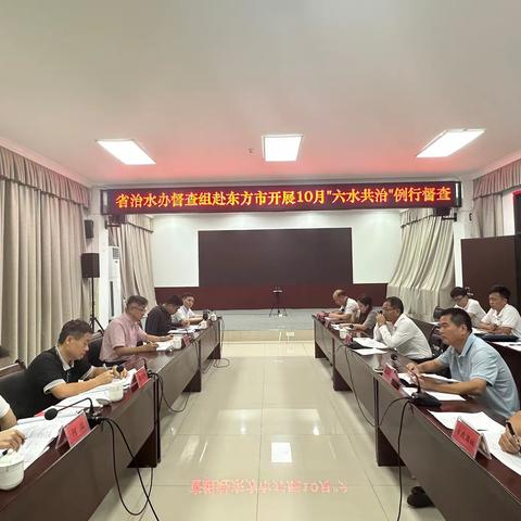 省治水办到东方市开展10月份例行督察