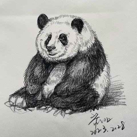 烟台黄渤海新区美育研究基地美术二学区三组青年美术教师打卡作业展示【2023年第9周】