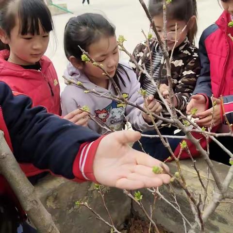 春天，与阅读同行——双减政策之下，方里镇黄村小学美篇