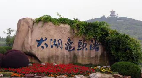 亲近自然天地阔，登高望远悦人心          ——2024.3月鼋头渚樱花季之旅