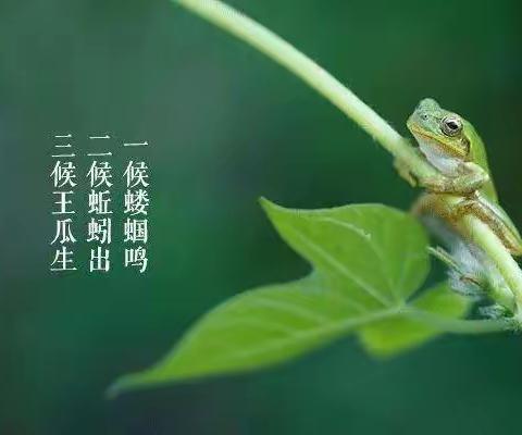 “不觉春来，忽而今夏”洪绪镇中心幼儿园西园立夏主题活动