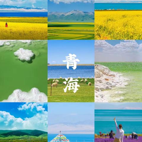 蓓蕾二班园本课——浪青海