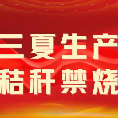 紫云镇召开2023年度“三夏”生产暨秸秆禁烧工作部署动员会