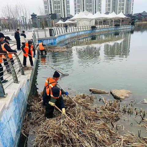 市环卫处积极开展渤海湖湖面环境集中整治行动