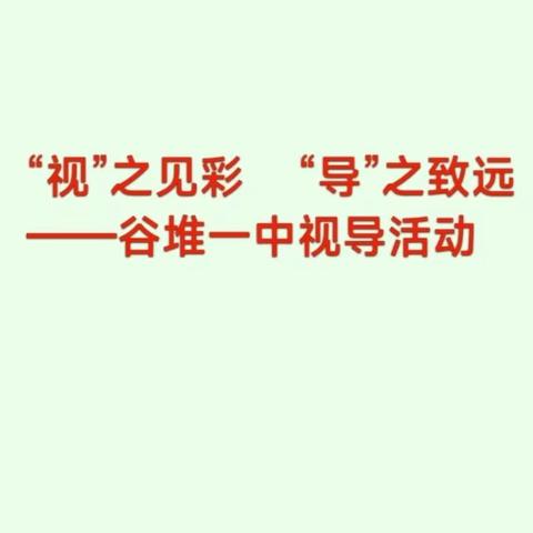 “视”之见彩    “导”之致远——谷堆一中视导活动