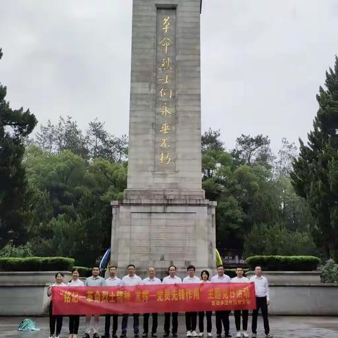 中共董团乡董团卫生院支部委员会开展主题党日活动