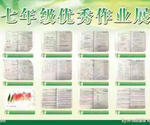 【星辰闪耀·笔尖生花】——记徐庄中学七年级优秀作业展