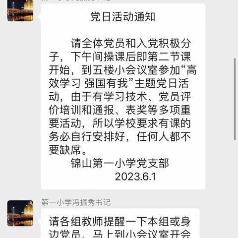 高效学习 强国有我 ——锦山第一小学主题党日活动