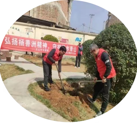 携手种下希望  共创绿美校园