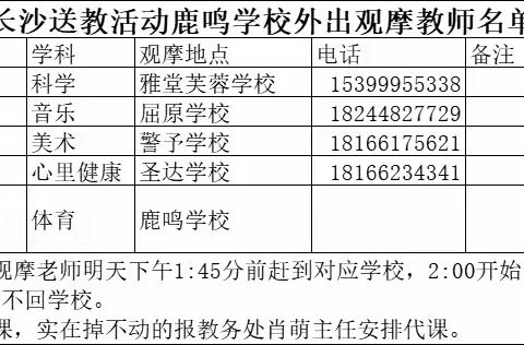 溆浦县鹿鸣学校第七周工作安排