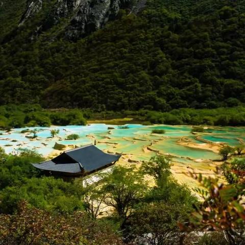 个人怎么注册旅行社 旅行社注册条件和流程