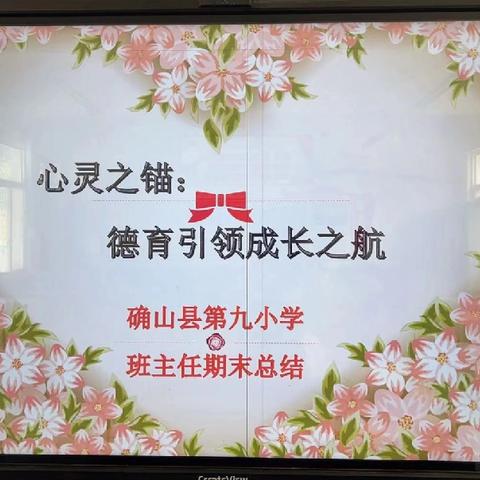 心灵之锚：德育引领成长之航                    确山县第九小学班主任期末总结会