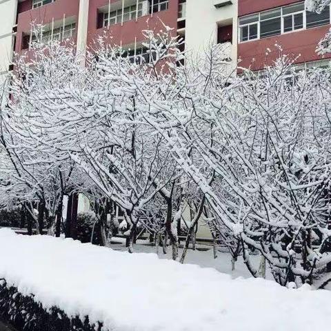 【全环境立德树人】初雪践初心 铲雪暖校园