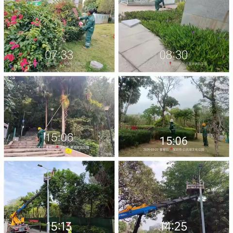 精耕绿意护城美 观湖城市管家 3 月工作月报