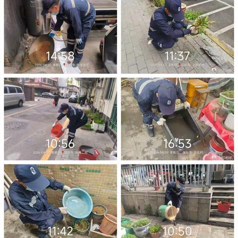 观湖城市管家4月工作月报 植绿护绿、共筑宜居家园