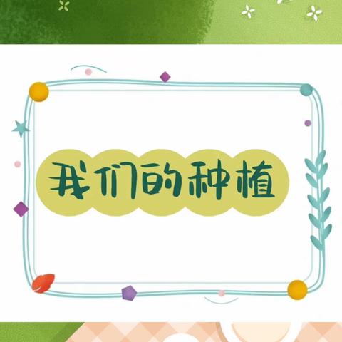 【用爱播种，收获快乐——弥水未来幼儿园中四班种植活动】