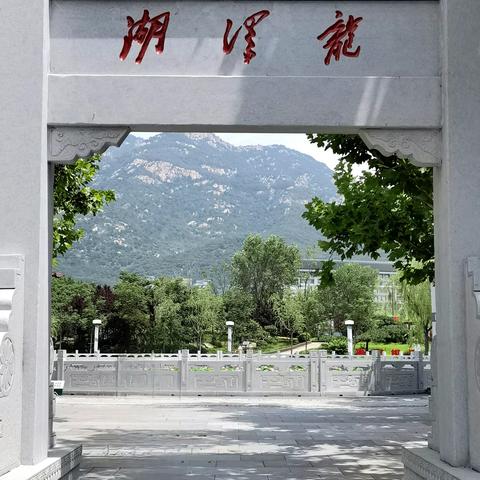 我心中的那片荷（副本）