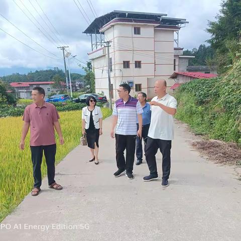 8月20日湖南商务职业技术学院开展乡村振兴调研