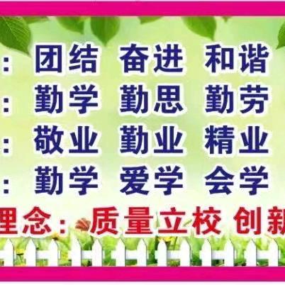 加大推普力度，筑牢强国语言基石——大荔县埝桥镇东埝小学推广普通话活动纪实