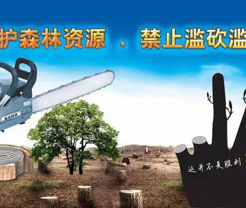 沿江林场开展冬季森林资源管护工作