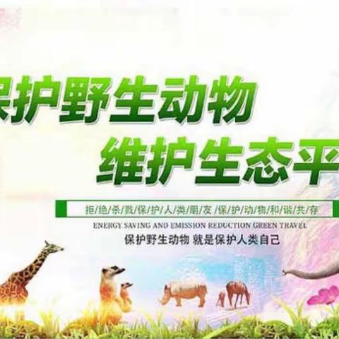 沿江林场开展保护野生动物“巡山清套”专项行动
