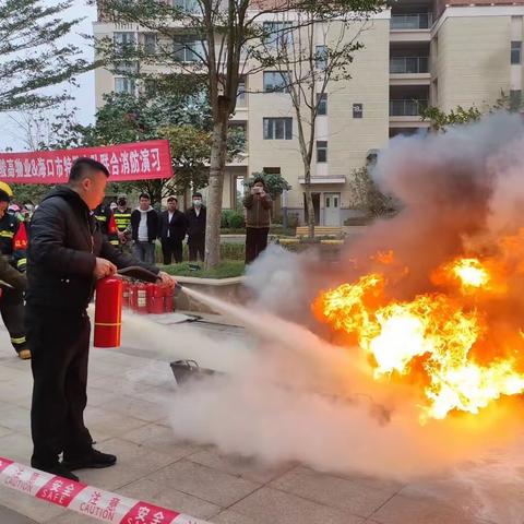 助力惠民生活 情暖“候鸟”心——龙桥镇党委为“候鸟”党员搭平台、促服务