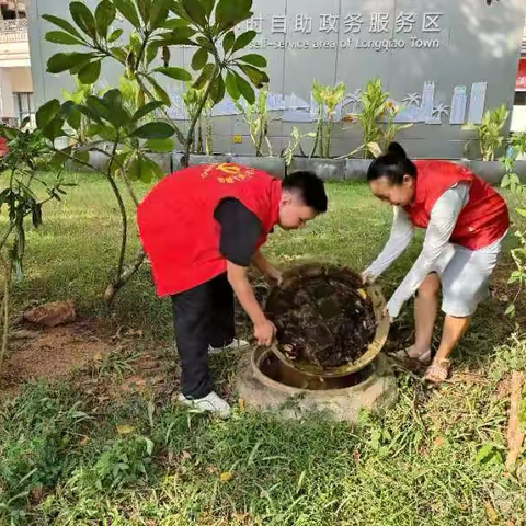 观澜湖社区组织党员志愿者开展预防登革热宣传活动，筑牢健康防线