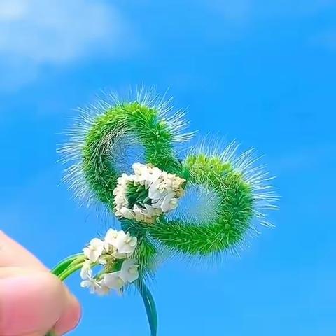 期初调研赋能提升 务实深耕蓄力前行----齐市教研院发展培训部深入梅区视导调研纪实