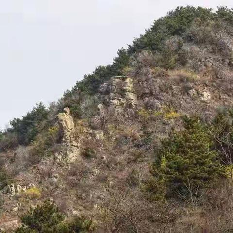 卫辉有个虎蹄郊，山顶有石人，山间有石虎，山下有石鸡，怪美！