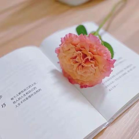 阅读赋能成长 书香浸润校园——灵璧县第七小学三（2）班读书节系列活动