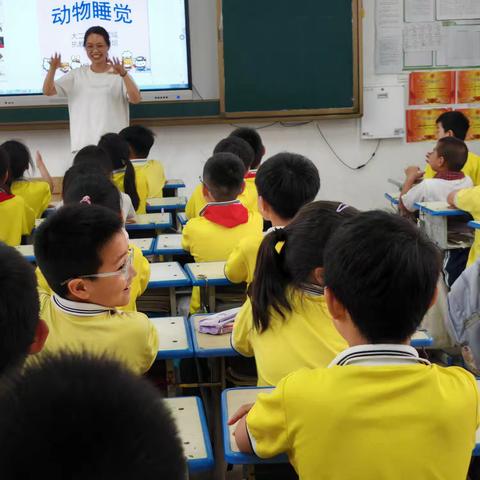家校共育之——《探索动物的奇妙睡姿》