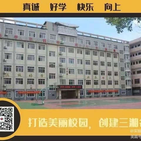 爱心护学岗 守护读书郎