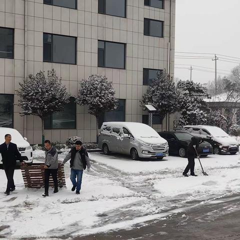 瑞雪兆丰年，新年的一场雪！