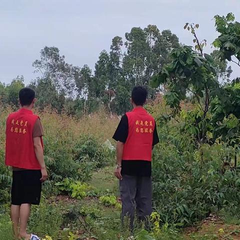 进董村开展秸秆禁烧与森林防火巡查工作