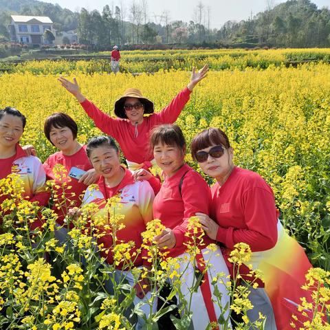 我和油菜花有个约会