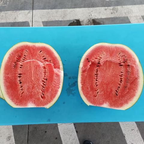 【昌吉销售公司】阜康片区阜康市加油夏日送清凉“瓜”分快乐