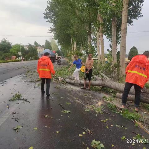 及时清理倒伏路树 保障道路安全畅通