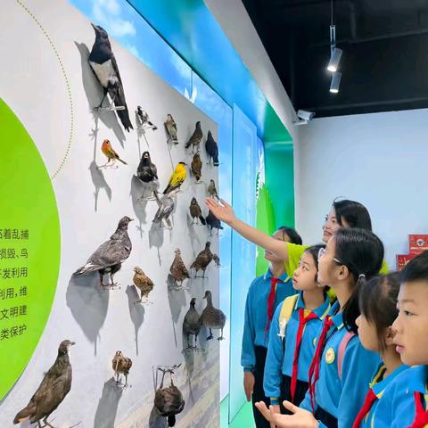 【课程育人】春日研学赴师院 知行合一促成长——芒市第四小学阳光三班2026年春游纪实