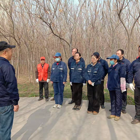 传承雷锋精神 播种一片新绿  共建美好家园                                                ---陕压分公司节前工作纪实