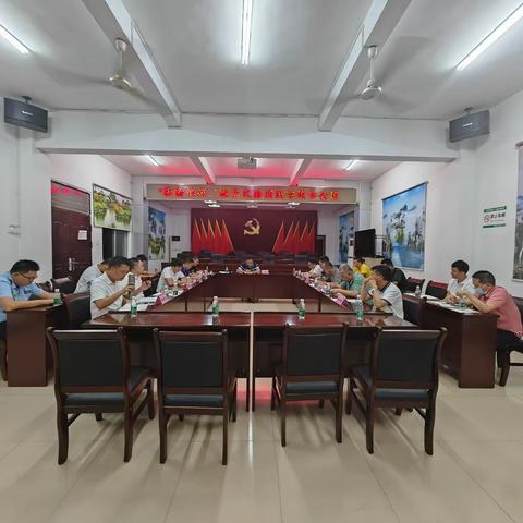 板桥镇召开田中村路灯改造维修协商议事会议
