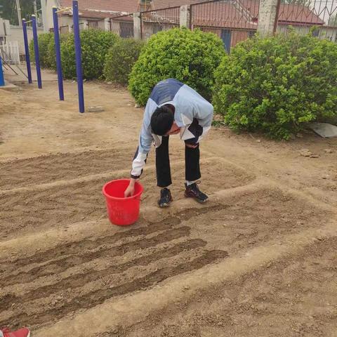 五一劳动我光荣